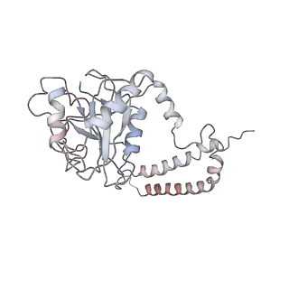 6694_5wvk_V_v1-2
Yeast proteasome-ADP-AlFx