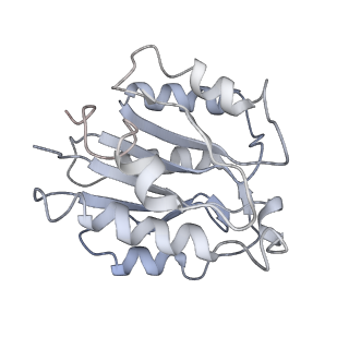 6694_5wvk_W_v1-2
Yeast proteasome-ADP-AlFx