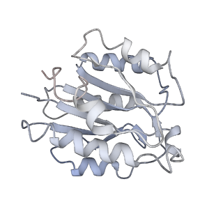 6694_5wvk_W_v1-3
Yeast proteasome-ADP-AlFx