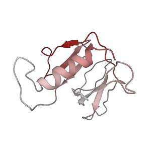 6694_5wvk_X_v1-3
Yeast proteasome-ADP-AlFx