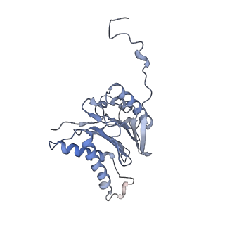 6694_5wvk_a_v1-2
Yeast proteasome-ADP-AlFx