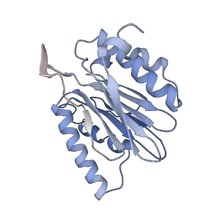 6694_5wvk_b_v1-2
Yeast proteasome-ADP-AlFx