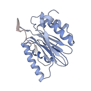 6694_5wvk_b_v1-3
Yeast proteasome-ADP-AlFx