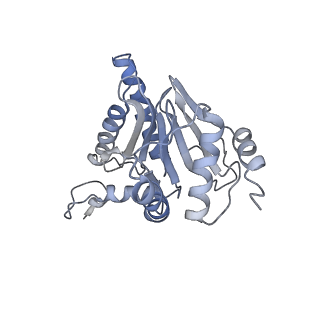 6694_5wvk_c_v1-2
Yeast proteasome-ADP-AlFx