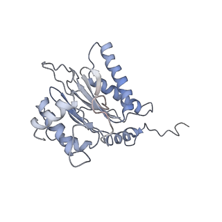 6694_5wvk_d_v1-2
Yeast proteasome-ADP-AlFx
