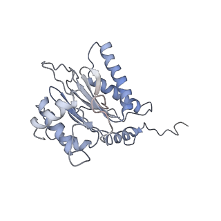 6694_5wvk_d_v1-3
Yeast proteasome-ADP-AlFx