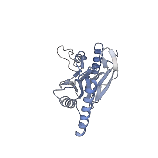 6694_5wvk_e_v1-2
Yeast proteasome-ADP-AlFx
