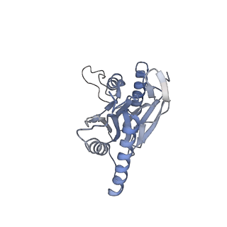 6694_5wvk_e_v1-3
Yeast proteasome-ADP-AlFx