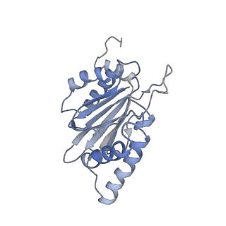 6694_5wvk_f_v1-2
Yeast proteasome-ADP-AlFx