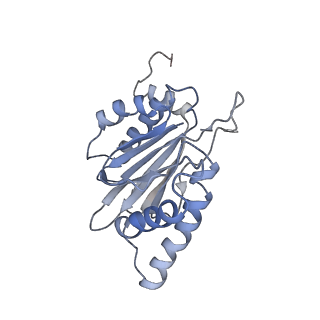 6694_5wvk_f_v1-3
Yeast proteasome-ADP-AlFx