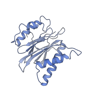 6694_5wvk_g_v1-2
Yeast proteasome-ADP-AlFx