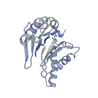 6694_5wvk_h_v1-2
Yeast proteasome-ADP-AlFx