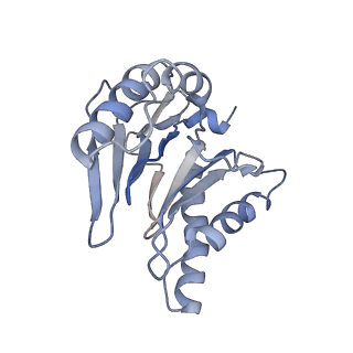 6694_5wvk_h_v1-3
Yeast proteasome-ADP-AlFx