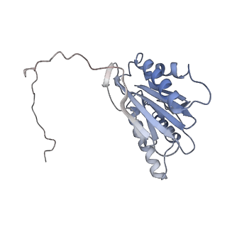 6694_5wvk_i_v1-2
Yeast proteasome-ADP-AlFx