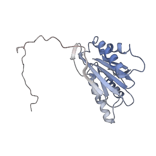 6694_5wvk_i_v1-3
Yeast proteasome-ADP-AlFx