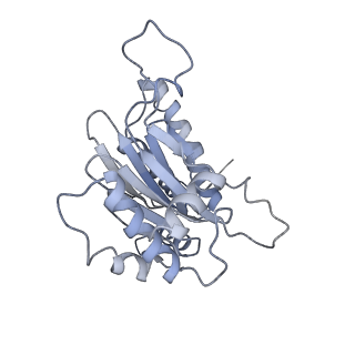 6694_5wvk_j_v1-2
Yeast proteasome-ADP-AlFx
