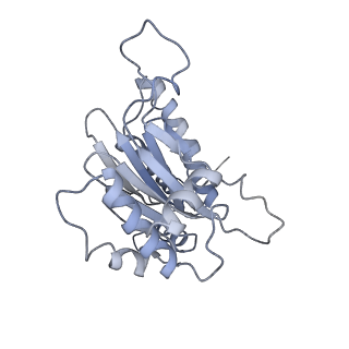 6694_5wvk_j_v1-3
Yeast proteasome-ADP-AlFx