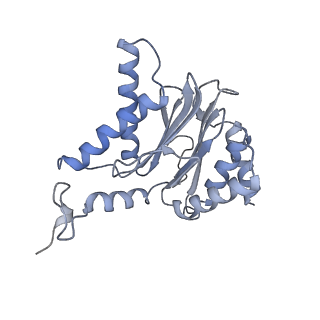 6694_5wvk_k_v1-2
Yeast proteasome-ADP-AlFx