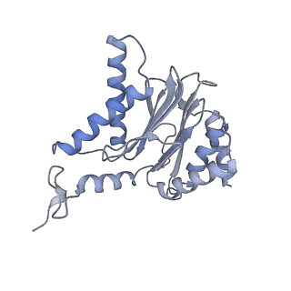 6694_5wvk_k_v1-3
Yeast proteasome-ADP-AlFx