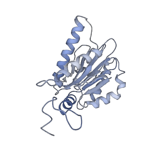 6694_5wvk_l_v1-2
Yeast proteasome-ADP-AlFx