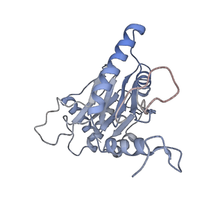 6694_5wvk_m_v1-2
Yeast proteasome-ADP-AlFx