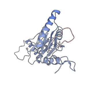 6694_5wvk_m_v1-3
Yeast proteasome-ADP-AlFx