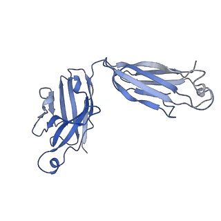 21927_6ww2_H_v1-0
Structure of human Frizzled5 by fiducial-assisted cryo-EM