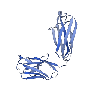21927_6ww2_L_v1-0
Structure of human Frizzled5 by fiducial-assisted cryo-EM