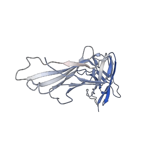 21928_6ww5_C_v1-0
Structure of VcINDY-Na-Fab84 in nanodisc