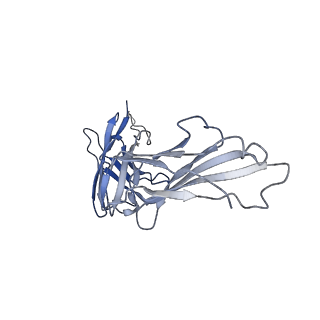 21928_6ww5_E_v1-0
Structure of VcINDY-Na-Fab84 in nanodisc