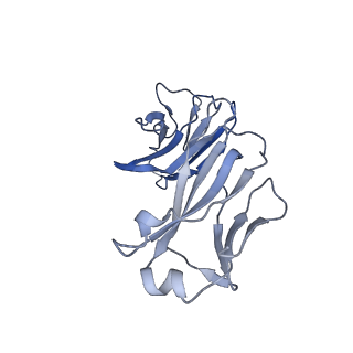 21928_6ww5_F_v1-0
Structure of VcINDY-Na-Fab84 in nanodisc