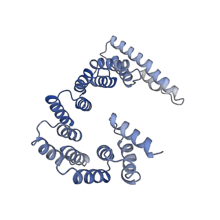 21929_6ww7_B_v1-2
Structure of the human ER membrane protein complex in a lipid nanodisc