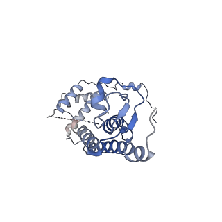 21929_6ww7_C_v1-2
Structure of the human ER membrane protein complex in a lipid nanodisc