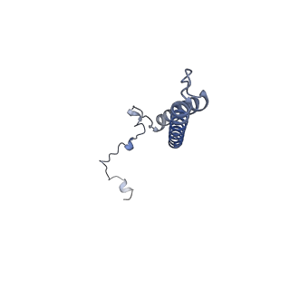 21929_6ww7_E_v1-2
Structure of the human ER membrane protein complex in a lipid nanodisc