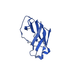 21929_6ww7_G_v1-2
Structure of the human ER membrane protein complex in a lipid nanodisc