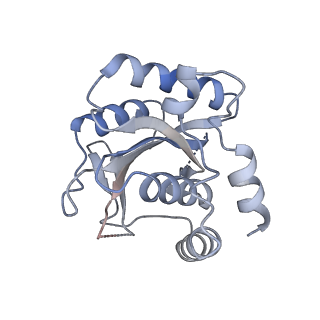 21929_6ww7_H_v1-2
Structure of the human ER membrane protein complex in a lipid nanodisc
