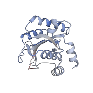 21929_6ww7_H_v2-1
Structure of the human ER membrane protein complex in a lipid nanodisc