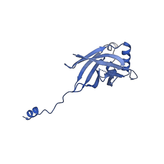 21929_6ww7_I_v1-2
Structure of the human ER membrane protein complex in a lipid nanodisc