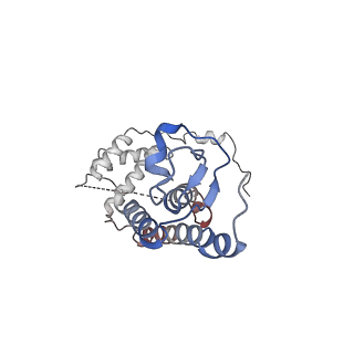 21930_6ww7_C_v1-2
Structure of the human ER membrane protein complex in a lipid nanodisc