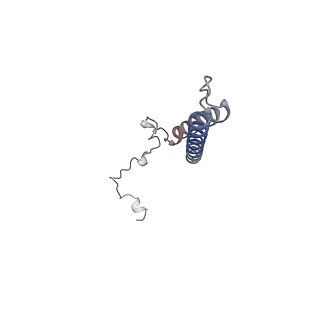 21930_6ww7_E_v1-2
Structure of the human ER membrane protein complex in a lipid nanodisc