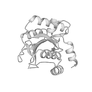 21930_6ww7_H_v1-2
Structure of the human ER membrane protein complex in a lipid nanodisc
