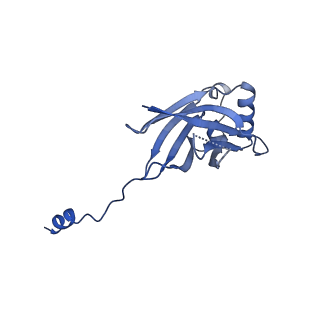 21930_6ww7_I_v1-2
Structure of the human ER membrane protein complex in a lipid nanodisc