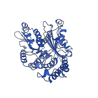 21933_6wwf_A_v1-1
KIF14[391-772] - ADP in complex with a microtubule