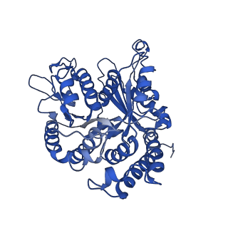 21933_6wwf_B_v1-1
KIF14[391-772] - ADP in complex with a microtubule