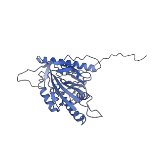 21933_6wwf_K_v1-1
KIF14[391-772] - ADP in complex with a microtubule