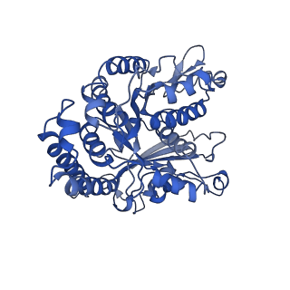 21934_6wwg_A_v1-2
KIF14[391-772] dimer two-heads-bound state - ADP-AlFx in complex with a microtubule