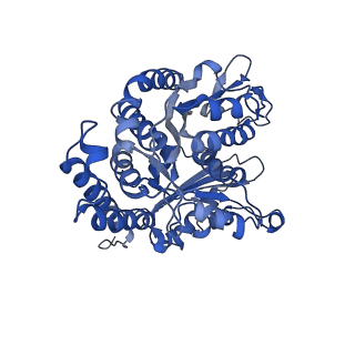 21934_6wwg_B_v1-2
KIF14[391-772] dimer two-heads-bound state - ADP-AlFx in complex with a microtubule
