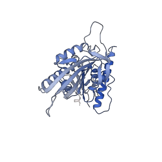 21934_6wwg_N_v1-2
KIF14[391-772] dimer two-heads-bound state - ADP-AlFx in complex with a microtubule