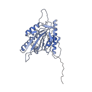 21936_6wwi_K_v1-1
Apo KIF14[391-755] in complex with a microtubule