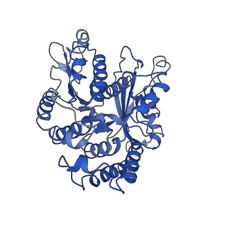 21937_6wwj_A_v1-1
KIF14[391-755] - ADP in complex with a microtubule